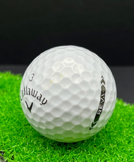 4 Dozen Reva 5A grade White free shipping