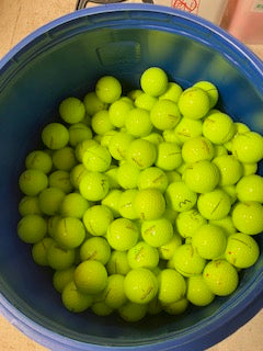 2 Dozen Kirkland Performance Green 5A Grade Free Shipping