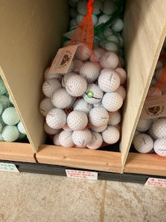 4 Dozen 2023-2024 Pro V1 White 4A Grade Free shipping