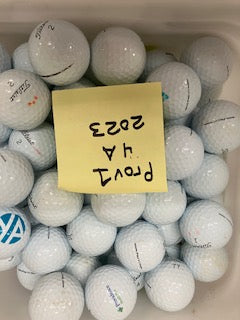 8 Dozen 2023 - 2024 Pro V1 White Price Buster