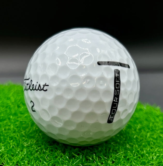 3 Dozen Tour Soft White free shipping