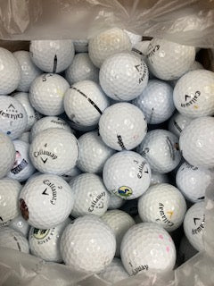 4 Dozen Warbird White  Grade Free Shipping