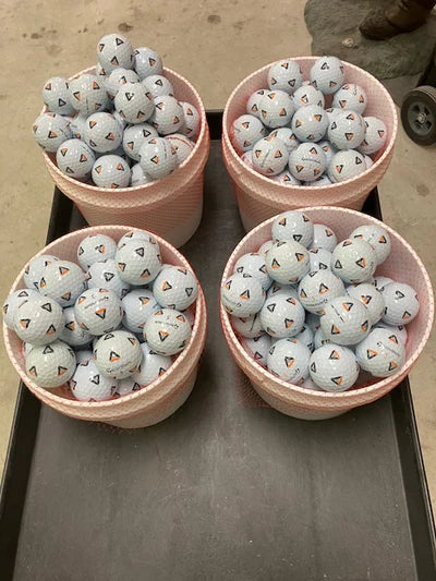 8 dozen tp5X Pix Labor Day weekend Special